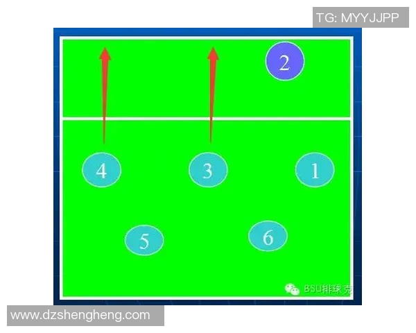 重庆排球队战术解析：从基本功到比赛策略的全面剖析与展望